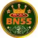 BN55 Game